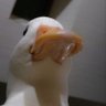 mari🦆 的头像