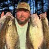 The Real C. Collins 🏴☠️ (seems legit)'s profile picture