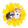 やっちゃんさん🌻 的头像