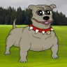 dadog 的头像