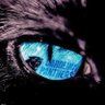 Chuck_B71's profile picture