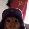 Profilbild von skillizzue