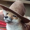 Dai's profile picture
