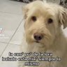 DiegoTBH 的头像