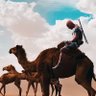 Profilbild von N.O.M.A.D | نوماد