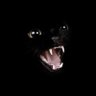 R E F L E X's profile picture