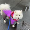 ダイトー profil fotoğrafı