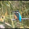 Polarpath profil fotoğrafı