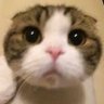 Profilbild von 𝕏 POCARI SWEET 𝕏