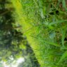 Фото профиля Ayush Choudhary