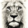 LIONFREE 🦁 的头像