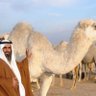 Фото профиля بو غانم الحسيني