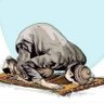 منيره's profile picture