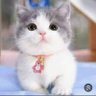 Фото профиля dsram