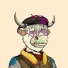 stefz's profile picture
