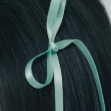 hakoiritaiga's profile picture
