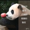 YONGBI 的头像