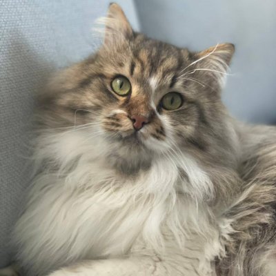sophia_edw28123's profile picture