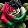 Profilbild von abudzabilza Yunus