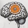 Profilbild von Seb_l'informatichien