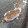 울산야남 profil fotoğrafı