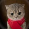 Blank's profile picture