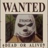 🐼's profile picture