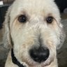 SN's profile picture