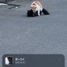 f profil fotoğrafı
