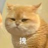 jnsd1234 的头像