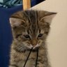 HaRo's profile picture