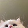 Ᏸ 的头像