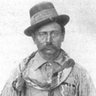 Lear's profile picture