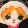 Profilbild von Mateo