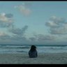 Фото профиля شَهْد 🦋