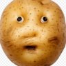 Aliyah Maira's profile picture