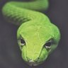 Фото профиля Michael Peterson