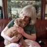 Carol Cameron's profile picture