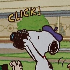 teddy's profile picture