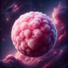 şimal nur's profile picture