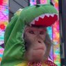 Profilbild von Human⚒️ 🐒💨