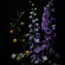 Фото профиля Dropium