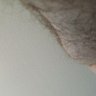 DaddyK1998's profile picture