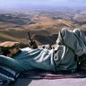 Profilbild von ناپلیون افغانستانی
