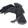 The Raven Boy 🏴🇵🇰 profil fotoğrafı