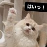藤司 profil fotoğrafı