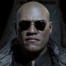 Zo's profile picture