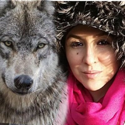 Emine 🐺's profile picture