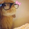 ๐'s profile picture