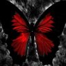 🌹LiGHTËR🌹 profil fotoğrafı